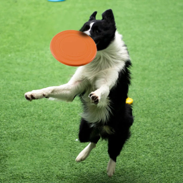 Giochi Cane