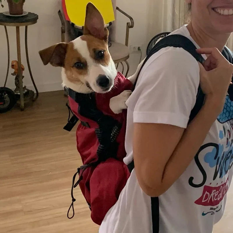 Zaini Passeggini Borse Trasporto